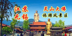 www.淫逼逼.com江苏无锡灵山大佛旅游风景区